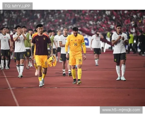 中国队世界杯比赛回放全集,高清无删减版本在线观看指南